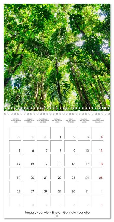 Produktbild: Guadeloupe - Une &icirc;le color&eacute;e des Cara&iuml;bes (Calendrier mural carr&eacute; 2026 30x30 cm) Calendrier double avec une page pour vos prises de notes