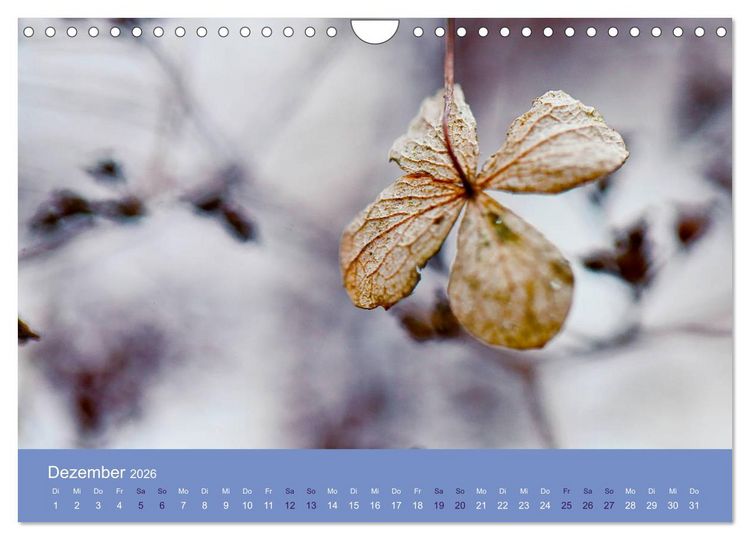 Produktbild: Farbwechsel - Die Farben der vier Jahreszeiten (Wandkalender 2026 DIN A4 quer), CALVENDO Monatskalender