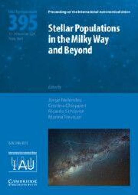 Produktbild: Stellar Populations in the Milky Way and Beyond (IAU S395)