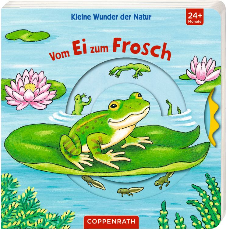 Produktbild: Kleine Wunder der Natur: Vom Ei zum Frosch