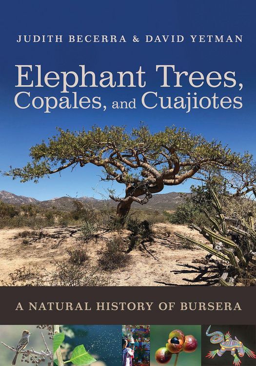 Produktbild: Elephant Trees, Copales, and Cuajiotes
