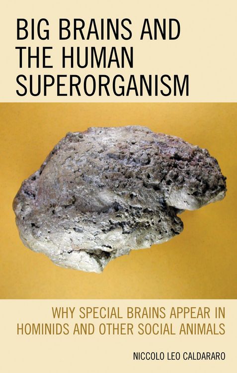 Produktbild: Big Brains and the Human Superorganism