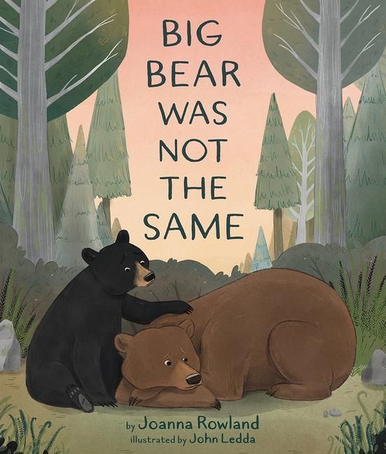 Produktbild: Big Bear Was Not the Same