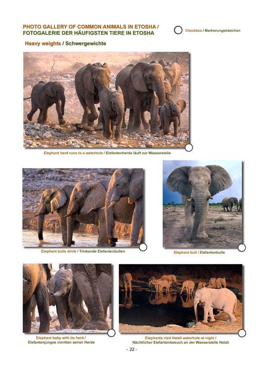 Produktbild: ETOSHA KARTE mit Fotogalerie