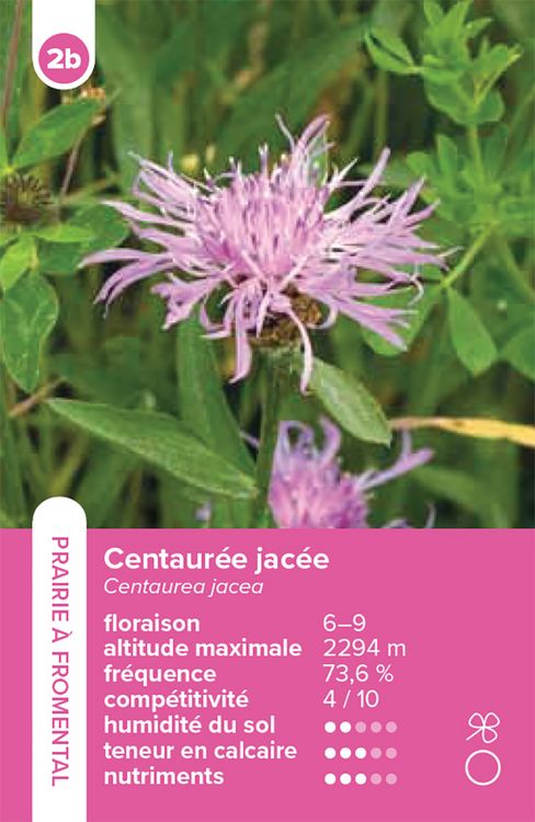 Produktbild: Habitats pelouses et prairies &ndash; le jeu du quatuor