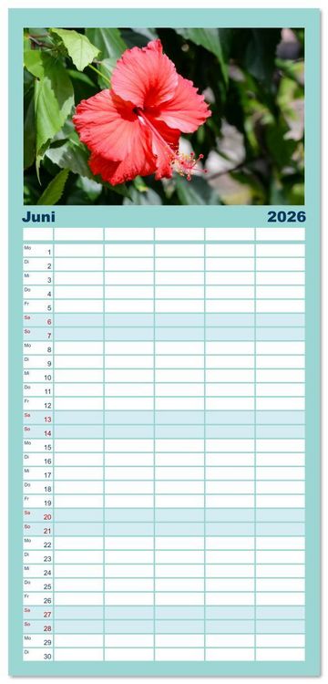 Produktbild: Familienplaner 2026 - Seychellen - unterwegs mit Julia Hahn mit 5 Spalten (Wandkalender, 21 x 45 cm) CALVENDO