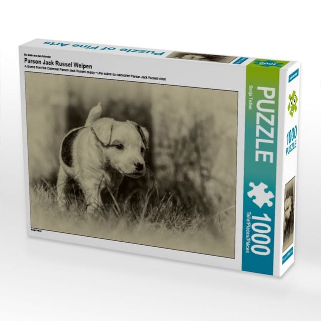 Produktbild: Ein Motiv aus dem Kalender Parson Jack Russel Welpen (Puzzle)