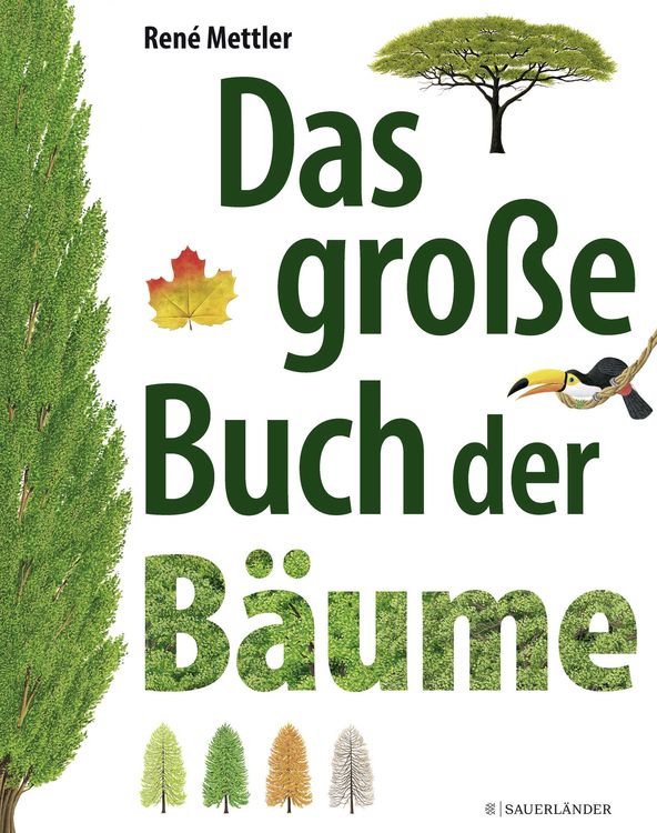 Produktbild: Das gro&szlig;e Buch der B&auml;ume