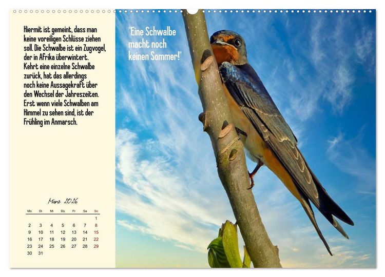 Produktbild: Illustrierte deutsche Redewendungen mit ihrer Bedeutung (Wandkalender 2026 DIN A2 quer), CALVENDO Monatskalender