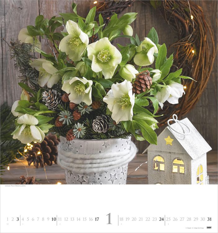 Produktbild: Bouquets 2027