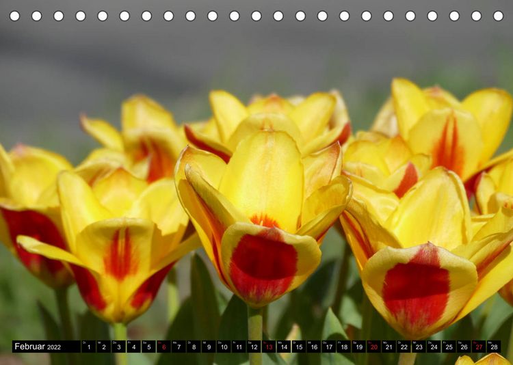 Produktbild: Fr&uuml;hling und Sommer (Tischkalender 2022 DIN A5 quer)