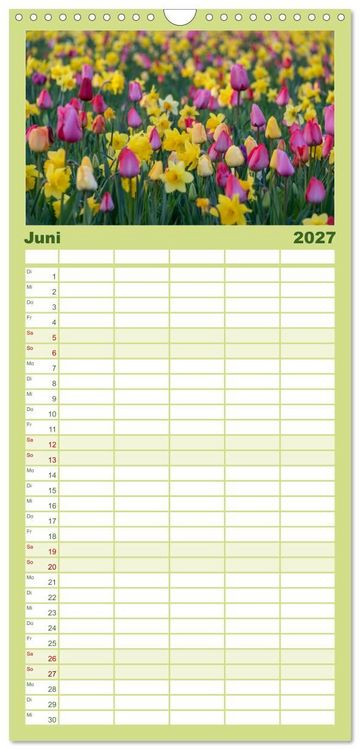 Produktbild: Familienplaner 2027 - Typisch Magdeburg mit 5 Spalten (Wandkalender, 21 x 45 cm) CALVENDO