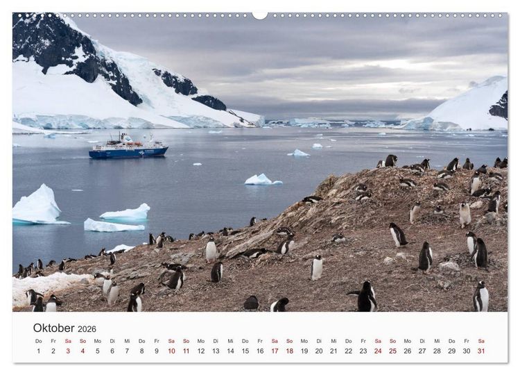Produktbild: Pinguine - Die sympathischen Frack-Tr&auml;ger (Wandkalender 2026 DIN A2 quer), CALVENDO Monatskalender