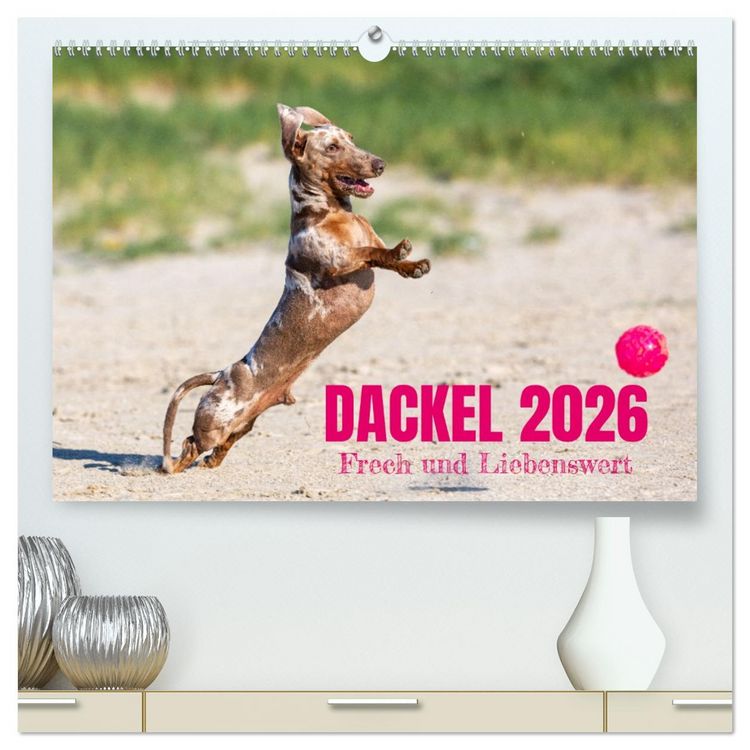 Produktbild: DACKEL 2026 Frech und Liebenwert (hochwertiger Premium Wandkalender 2026 DIN A2 quer), Kunstdruck in Hochglanz