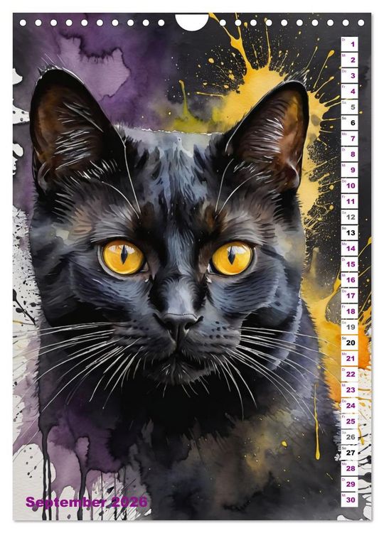 Produktbild: KATZENKALENDER - Aquarell Katzenportraits f&uuml;r Katzenliebhaber (Wandkalender 2026 DIN A4 hoch), CALVENDO Monatskalender