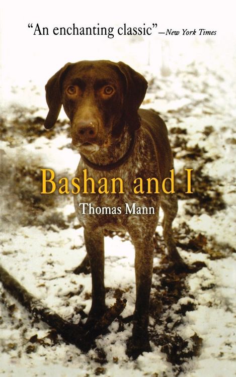 Produktbild: Bashan and I