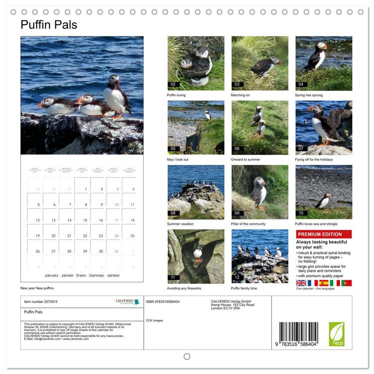 Produktbild: Puffin Pals (Wall Calendar 2026 12 &times; 12 Inch) CALVENDO 12 Month Wall Calendar