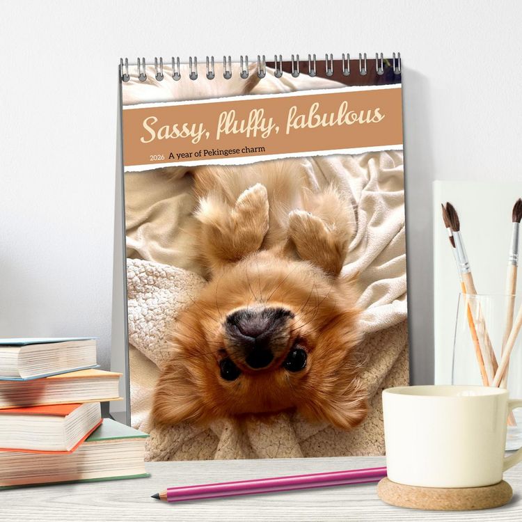 Produktbild: Sassy, fluffy, fabulous &ndash; A year of Pekingese charm (Desk Calendar 2026 DIN A5 portrait), CALVENDO 12 Month DeskCalendar