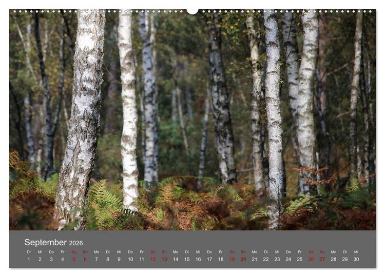 Produktbild: Wahner Heide - Aussichten und Begegnungen (Wandkalender 2026 DIN A2 quer), CALVENDO Monatskalender