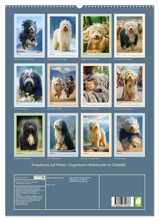 Produktbild: Dreadlocks auf Pfoten. Ungarische Hirtenhunde im Zottelfell (hochwertiger Premium Wandkalender 2027 DIN A2 hoch), Kunstdruck in Hochglanz