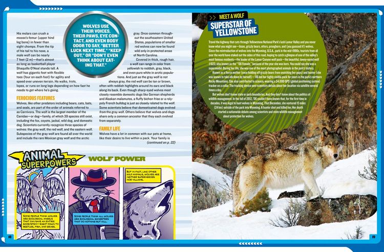 Produktbild: Mission: Wolf Rescue