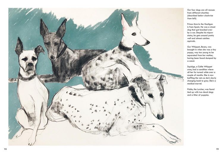 Produktbild: Rescue Dogs Hb