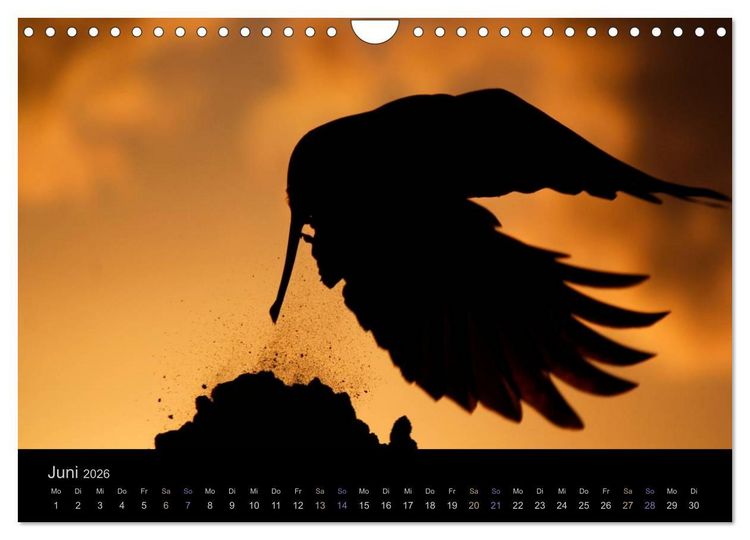 Produktbild: Rabenschwarze Impressionen - meike-ajo-dettlaff.de via wildvogelhlfe.org (Wandkalender 2026 DIN A4 quer), CALVENDO Monatskalender