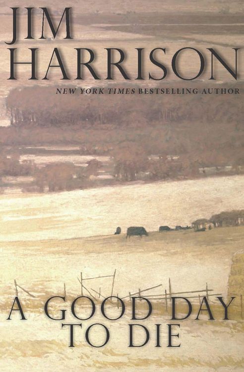 Produktbild: A Good Day to Die