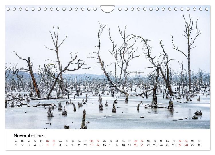 Produktbild: Naturwunder Stettiner Haff (Wandkalender 2027 DIN A4 quer), CALVENDO Monatskalender