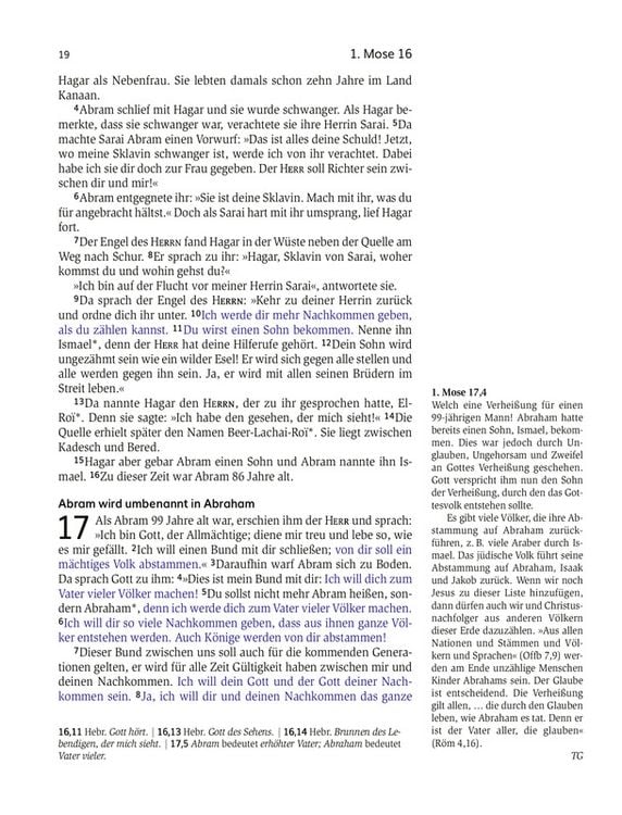 Produktbild: Das Buch der Versprechen