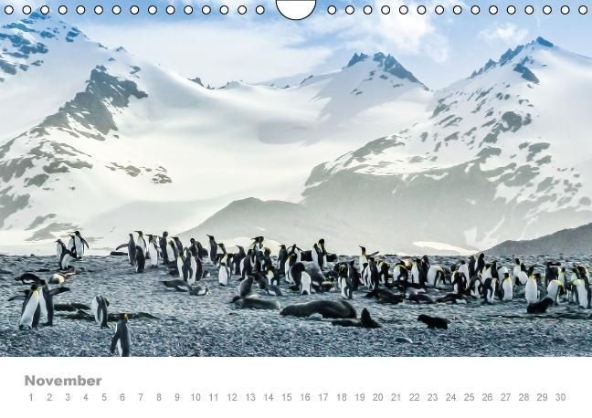 Produktbild: ANTARKTIS (Wandkalender immerw&auml;hrend DIN A4 quer)