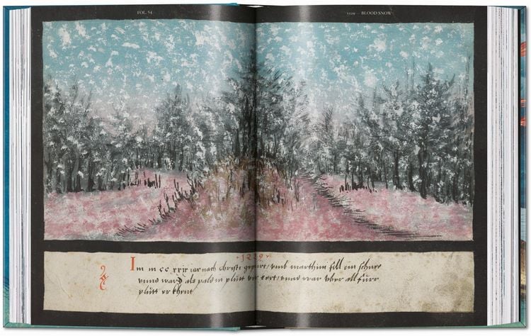 Produktbild: The Book of Miracles