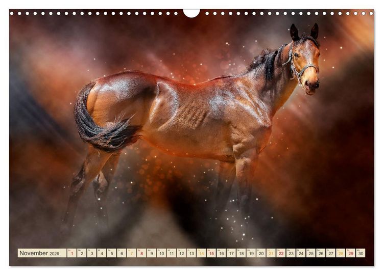 Produktbild: Eleganz und Sch&ouml;nheit - Pferde (Wandkalender 2026 DIN A3 quer), CALVENDO Monatskalender