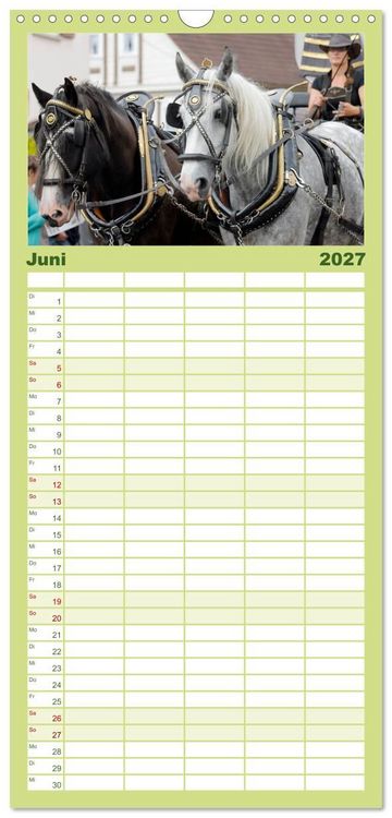 Produktbild: Familienplaner 2027 - Schwere Pferde mit 5 Spalten (Wandkalender, 21 x 45 cm) CALVENDO