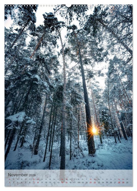 Produktbild: Winter Spaziergang (Wandkalender 2026 DIN A2 hoch), CALVENDO Monatskalender