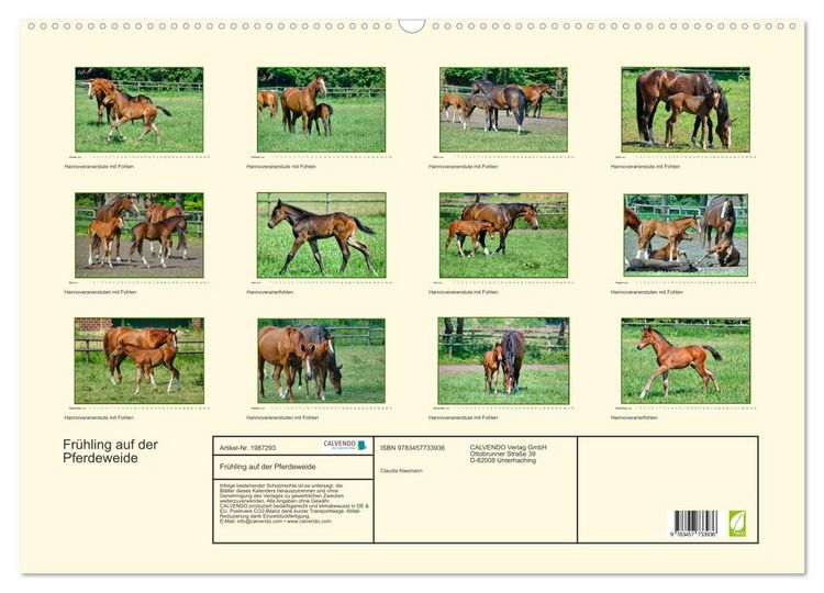 Produktbild: Fr&uuml;hling auf der Pferdeweide (Wandkalender 2026 DIN A2 quer), CALVENDO Monatskalender
