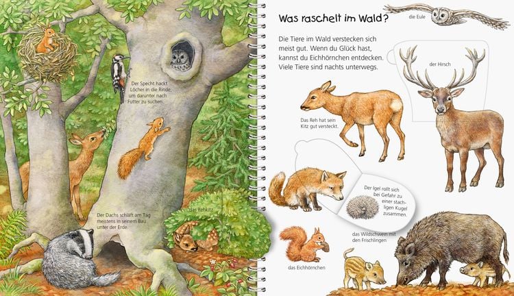 Produktbild: Wieso? Weshalb? Warum? Sonderband - Mein junior-Lexikon: Tiere