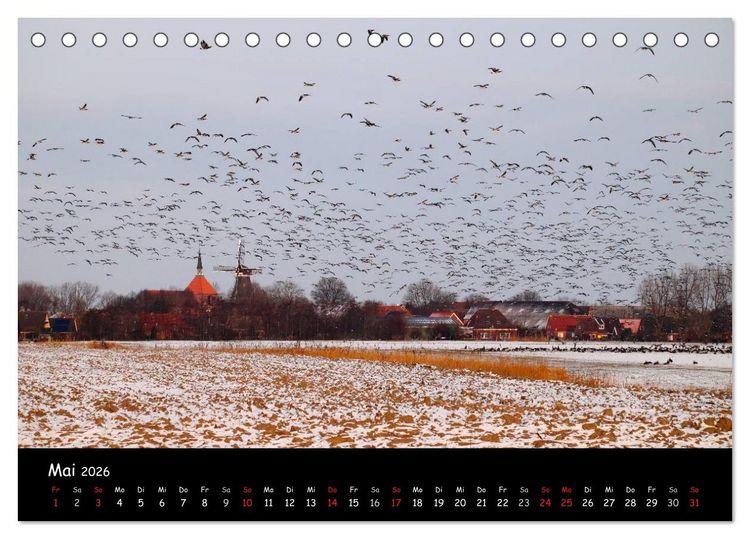 Produktbild: Schrei der Wildg&auml;nse (Tischkalender 2026 DIN A5 quer), CALVENDO Monatskalender