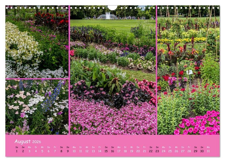 Produktbild: Erfurt erbl&uuml;ht (Wandkalender 2026 DIN A3 quer), CALVENDO Monatskalender