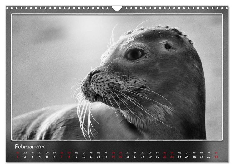 Produktbild: Tieren ins Gesicht geschaut (Wandkalender 2026 DIN A3 quer), CALVENDO Monatskalender