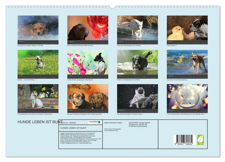 Produktbild: HUNDE LEBEN IST BUNT (hochwertiger Premium Wandkalender 2026 DIN A2 quer), Kunstdruck in Hochglanz