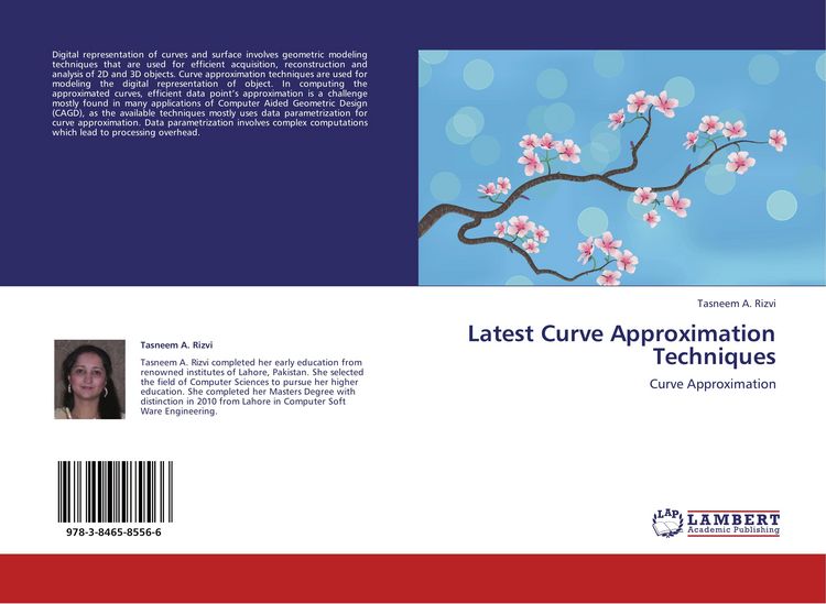 Produktbild: Latest Curve Approximation Techniques