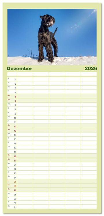 Produktbild: Familienplaner 2026 - Mit dem Riesenschnauzer durch das Jahr mit 5 Spalten (Wandkalender, 21 x 45 cm) CALVENDO