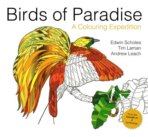Produktbild: Scholes, E: Birds of Paradise