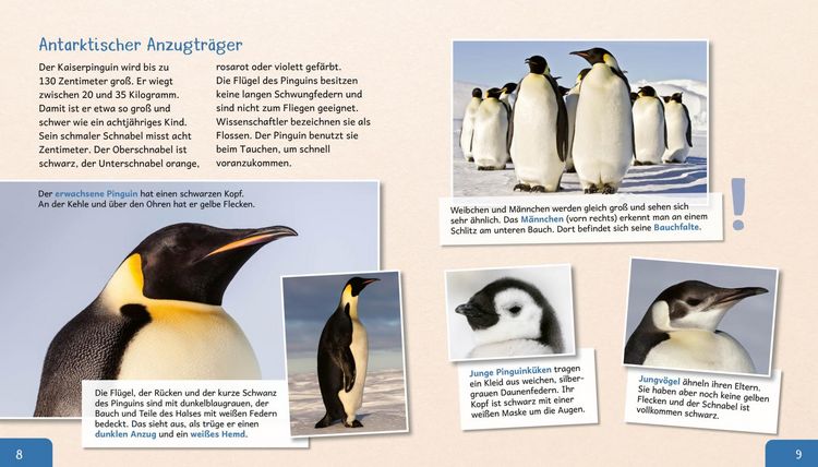 Produktbild: Meine gro&szlig;e Tierbibliothek: Der Pinguin