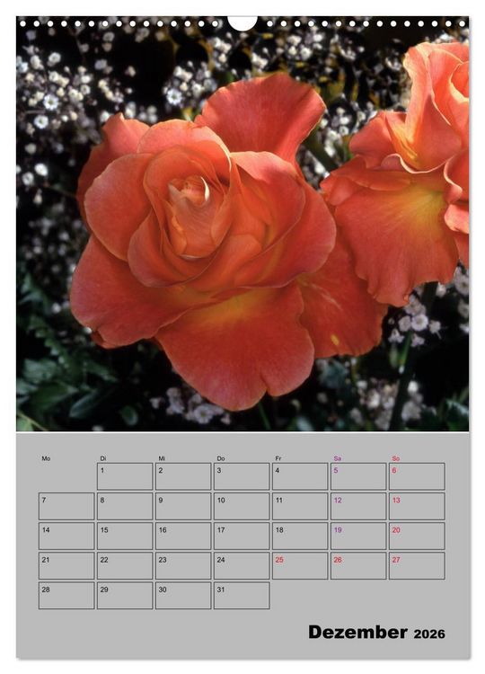 Produktbild: Rosen - Symbol der Liebe und Verehrung (Wandkalender 2026 DIN A3 hoch), CALVENDO Monatskalender