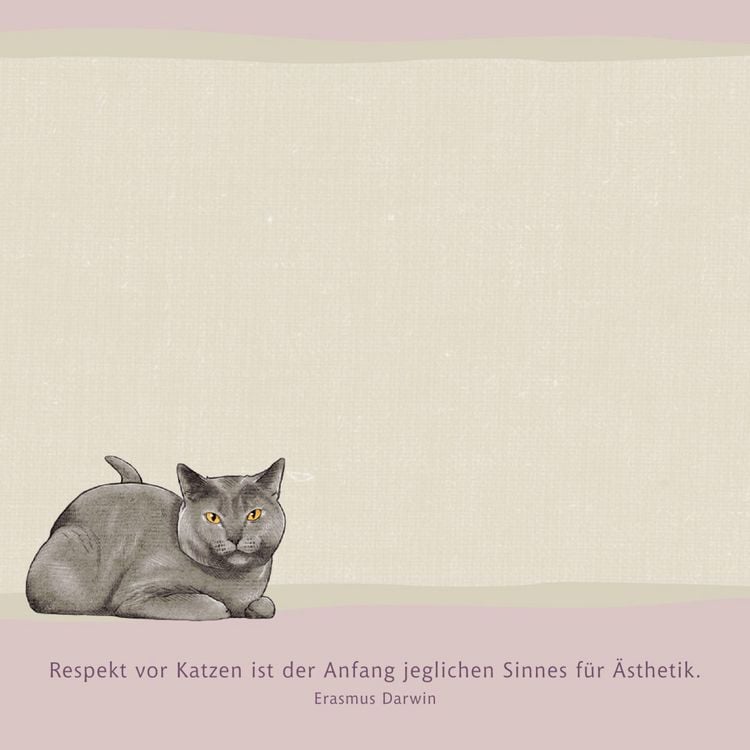 Produktbild: Zettelk&auml;stchen &ndash; I love cats