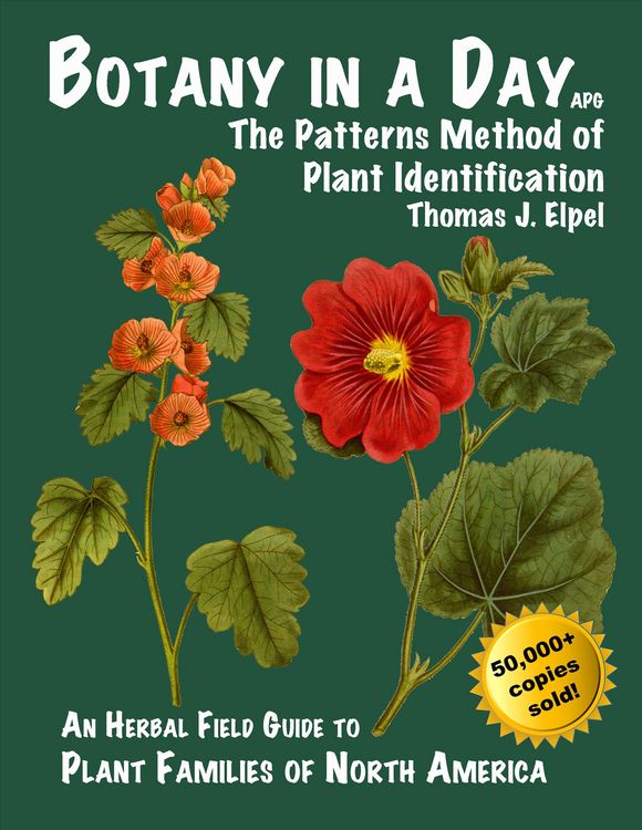 Produktbild: Botany in a Day: The Patterns Method of Plant Identification