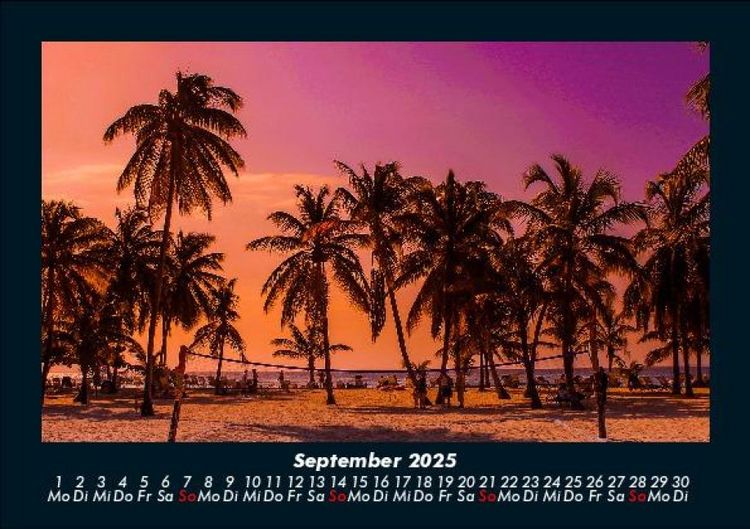 Produktbild: Palmentraum 2025 Fotokalender DIN A5