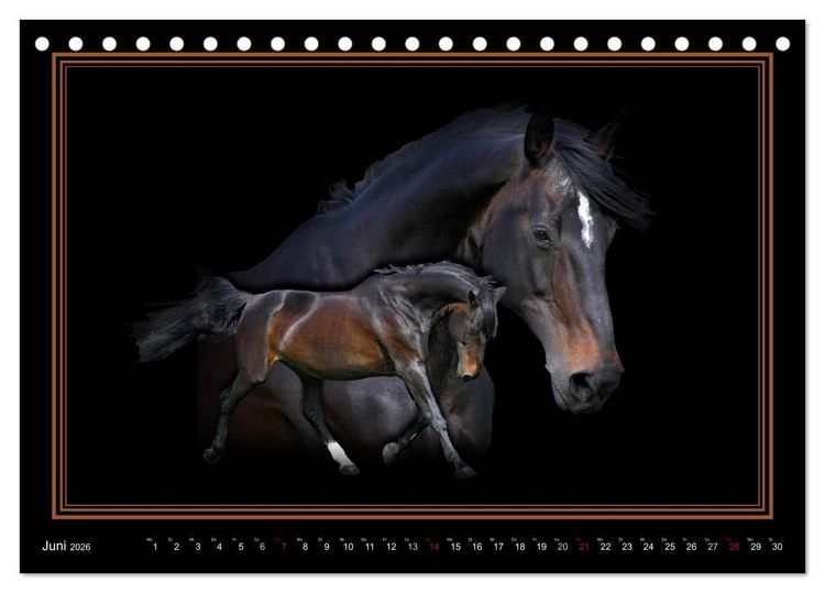 Produktbild: Traumpferde-ART-Collection (Tischkalender 2026 DIN A5 quer), CALVENDO Monatskalender